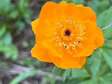 Ноутинг - развитие навыка сенсорной ясности