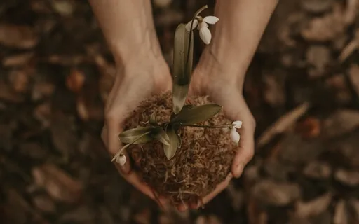 Nova Energia na Tua Nova Terra