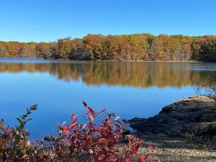 November 2024 Oracle Reading