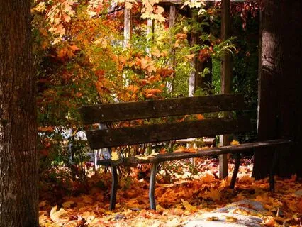 November 2025 Ascension Forecast : A Pause Between Worlds