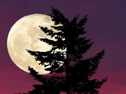 November Beaver Full Moon Meditation