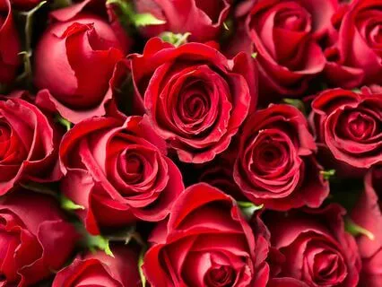 Now Is The Time: Take A Breath