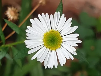 Now: Reading Of Poem By Candace Feldman