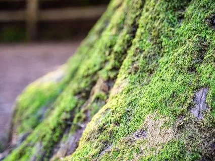 Nowhere To Get To — A Meditation On Presence Without Agenda