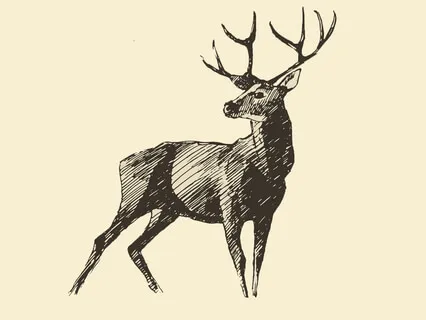 Nrty Hiran (Dancing Deer)