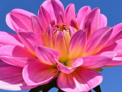 NSDR Coffee Break 5 Minute Non Sleep Deep Rest