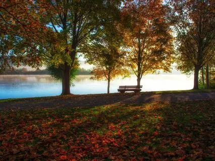 NSDR Ambient Music For Rest | Soul At Peace