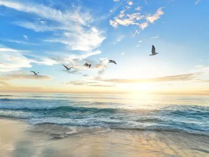 NSDR For Beginners – Learn To Relax Deeply With Yoga Nidra