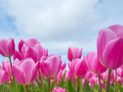 NSDR For Rejection Sensitivity