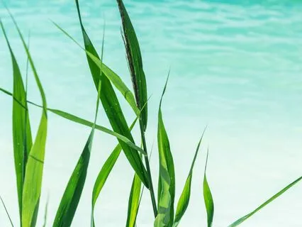 NSDR Practice: Recharge In 10 Minutes