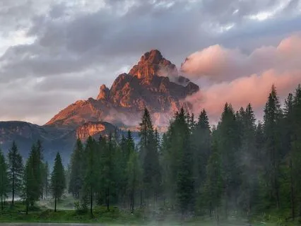 NSDR In The Forest ~ Savasana & Breathwork