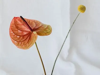 NSDR Stress Relief With EFT Tapping