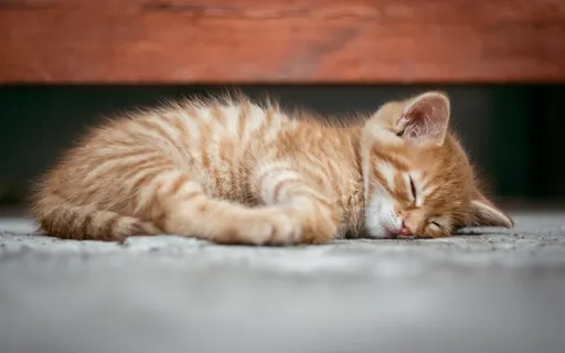 NSDR Yoga Nidra With A Long Recharging Pause at The End