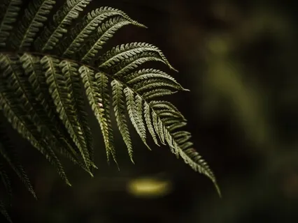 #01 What Is Minimalism?