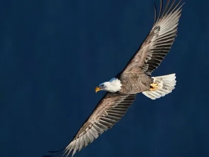 #1 - Meditation Phase Of Relaxing And Settling