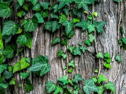 #12 Declutter Your Mind With Self Care