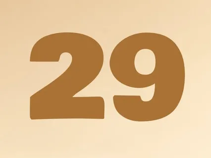 #29 Распущенность