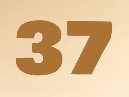 #37 Мудрость