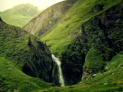 #598 Rak Razam & Niles Heckman - Global Shamanic Resurgence