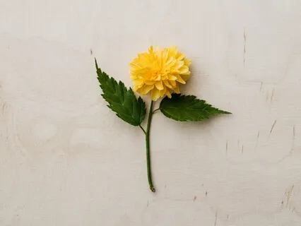 #6 Dealing With Toxicity At Work