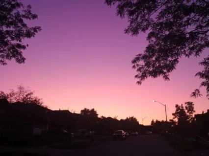 Progressive Muscle Relaxation Meditation For Athletes