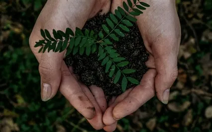 Nurturance Yoga Nidra