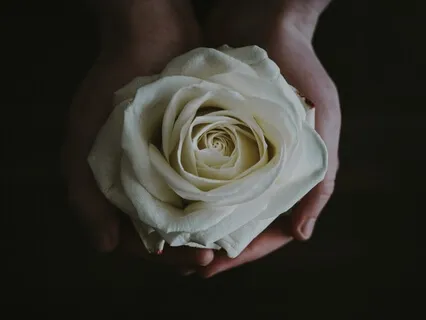 Nurture Yourself Through Suffering