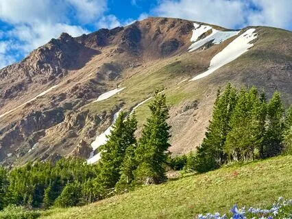 Nurtured By Nature, Rooted In Love