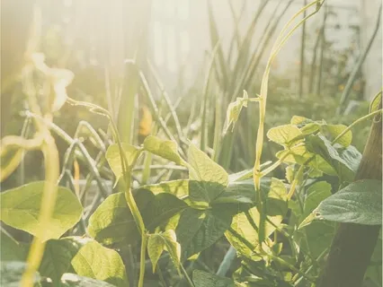 Nurturing A Sense Of Belonging