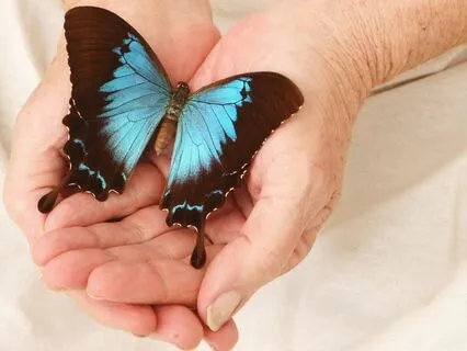 Nurturing Affirmations-The Self-Care Revolution (10 Of 10)