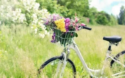 Nurturing Awareness (With Piano Music)