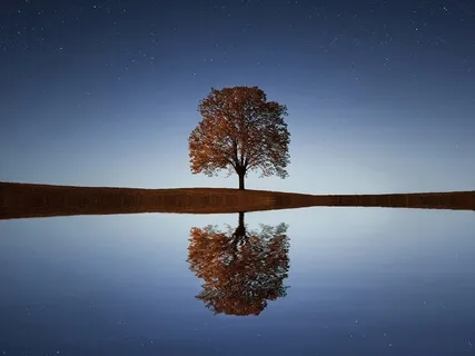 Nurturing Creative Inspiration