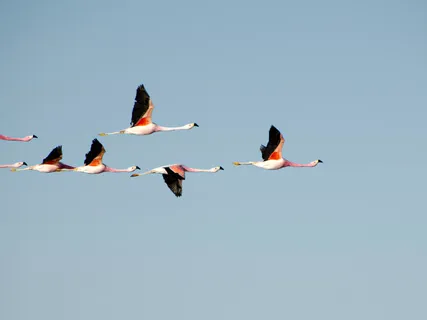 Nurturing Creativity Meditation