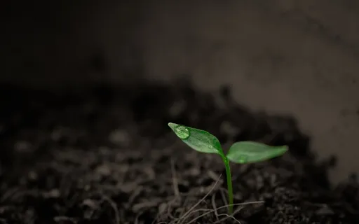 Nurturing Discomfort