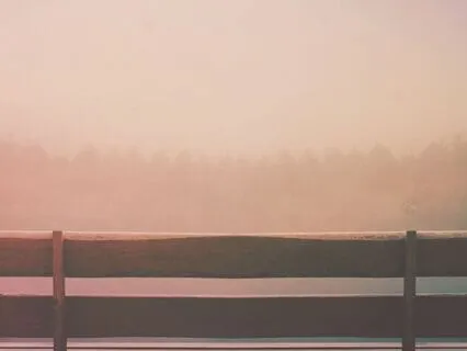 Nurturing Inner Patience