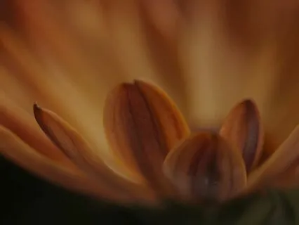 Nurturing Loving-Kindness: A Modified Metta Meditation