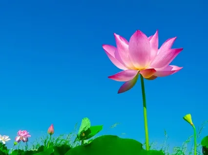 Nurturing My Positive Self With Sophrology & Loving-Kindness