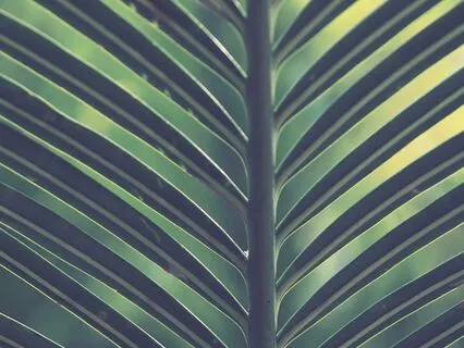 Nurturing Notes - Parenting Sonata