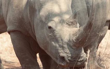 Nurturing Our Passion For Protecting The Planet