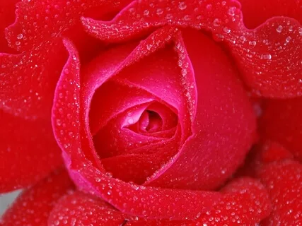 Nurturing Our Seed Of Creativity 