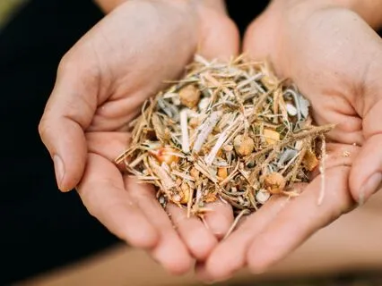 Nurturing Practice For The Nervous System