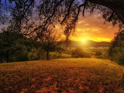 Nurturing Presence: Come Home - Meditation 91