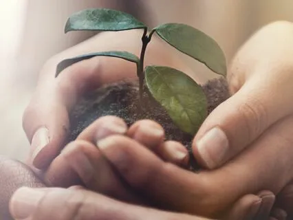 Nurturing Simple Joy