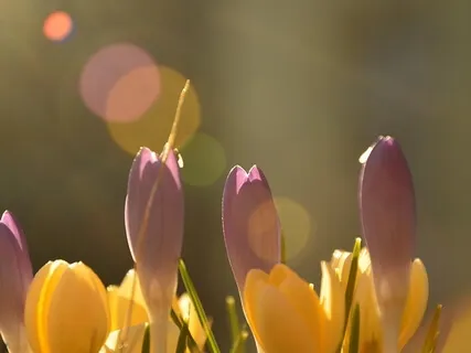 Nurturing The Emotions In Our Body