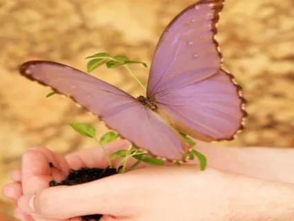 Nurturing The Nervous System