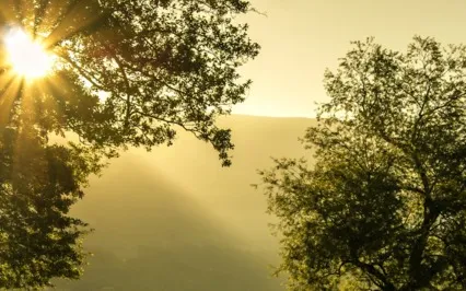 Nurturing Your Creative Flow With The Elements