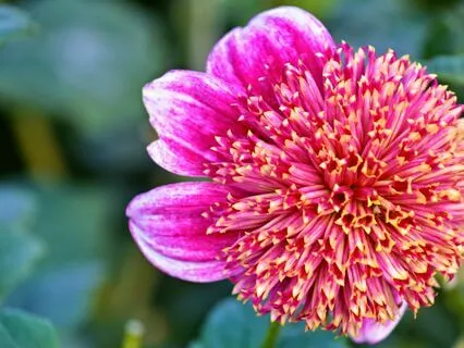 Nurturing Your Inner And Divine Relationships