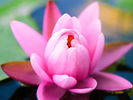 Núvitundaræfing - Öndun