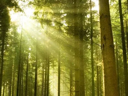 Nyra Bloomfield And The Enchanted Bakery (Part 2)