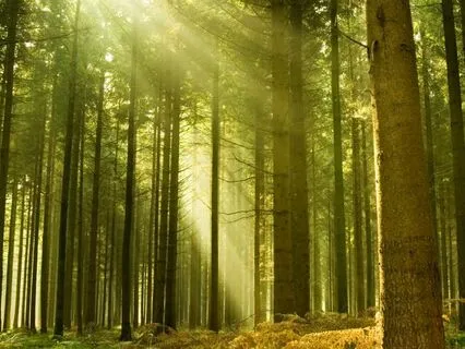 Nyra Bloomfield And The Enchanted Bakery (Part 3)